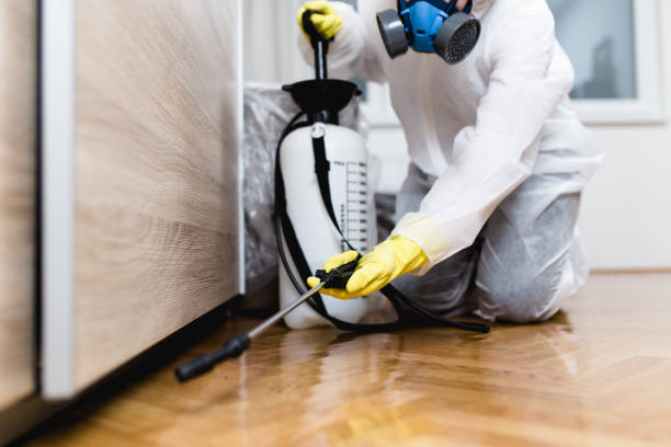 Best Cockroach Control Services  in Lantana, TX