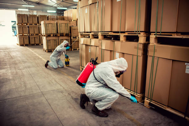 Best Local Pest Control Services  in Lantana, TX