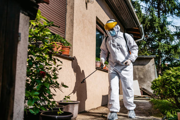 Best Emergency Pest Control  in Lantana, TX