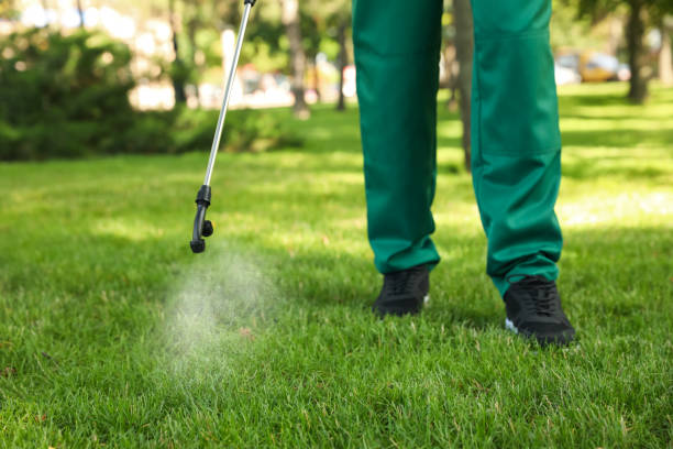 Best Affordable Pest Control Services  in Lantana, TX