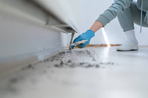 Best Residential Pest Control  in Lantana, TX